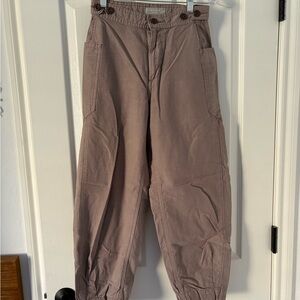 Everlane Cotton Barrel Pants